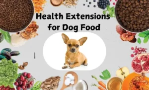 The Truth About Health Extensions Dog Food: The Good, The Bad, and Why It Matters